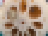 sgfhf
