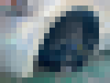gtrr
