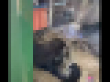 677