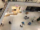 fdgj