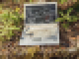 ggtr