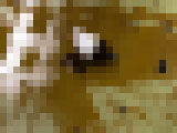 uui