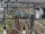 77