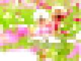 ggd