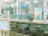 77