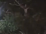 rre