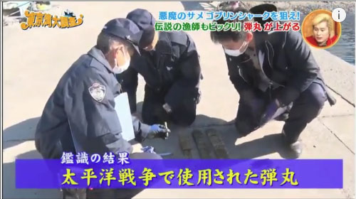 テレ東 お魚ぜんぶ獲ってみた 収録中にとんでもないものが引き上げられる 警察が出動する事態に 銃とバッジは置いていけ