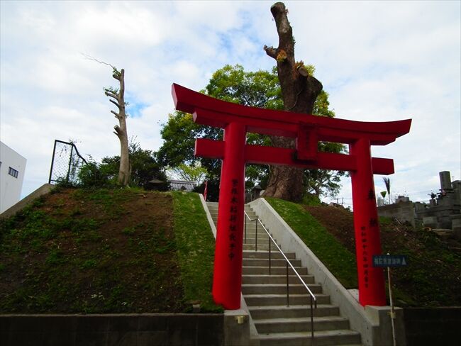 �˺��ڿ��ҡʶ�̾���˺��ڡ�-001