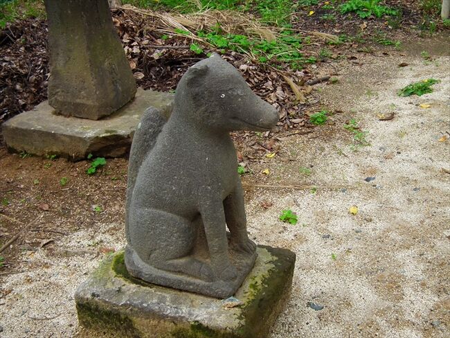 �˺��ڿ��ҡʶ�̾���˺��ڡ�-002