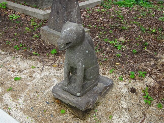 �˺��ڿ��ҡʶ�̾���˺��ڡ�-003