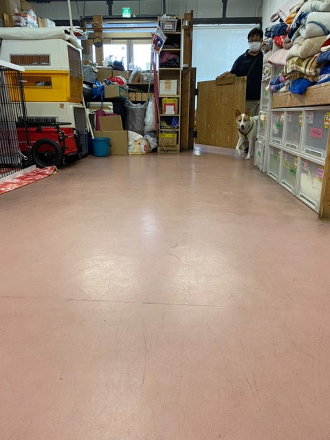 line_170062718579
