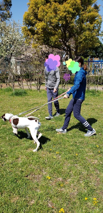 20190413_183131