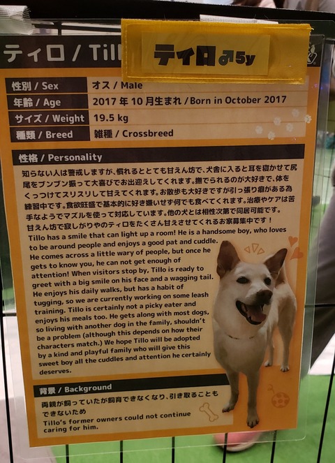 20230430_214145