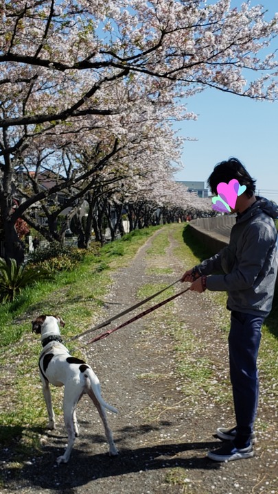 20190413_112702
