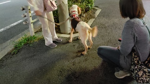20190825_203343
