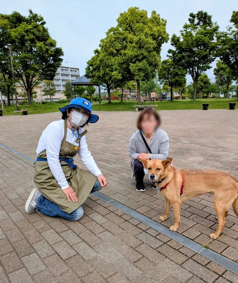 Point Blur_20260428_220505