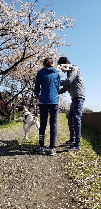 20190413_183743