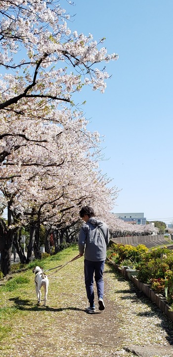 20190413_112744