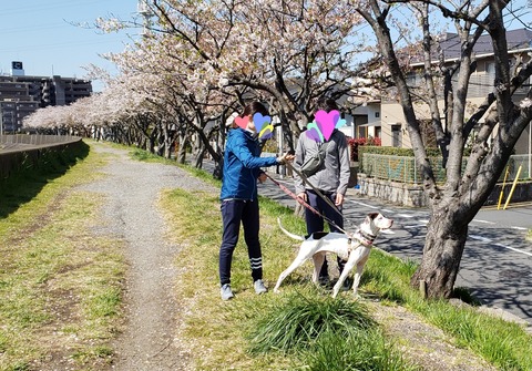 20190413_112330