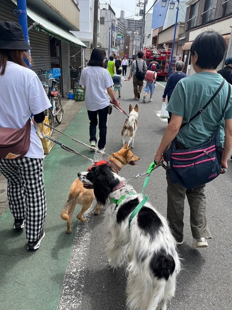 line_2407077501163