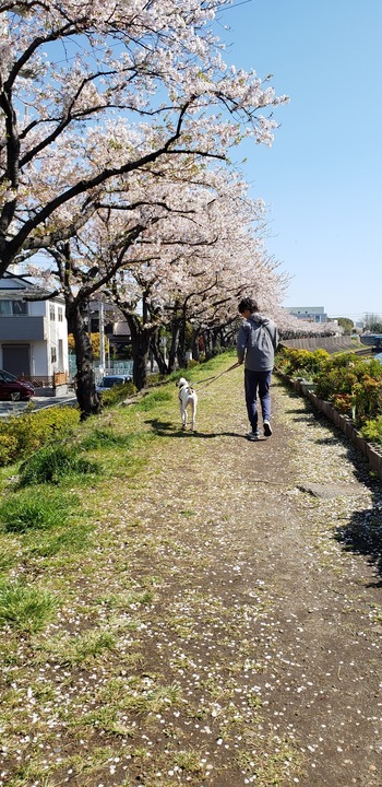 20190413_092724