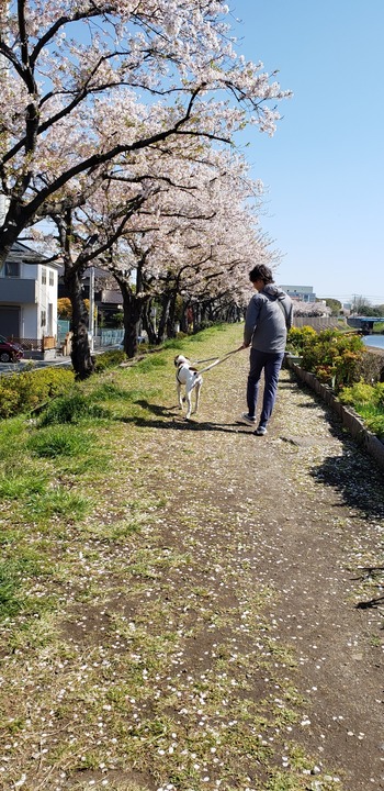 20190413_092722