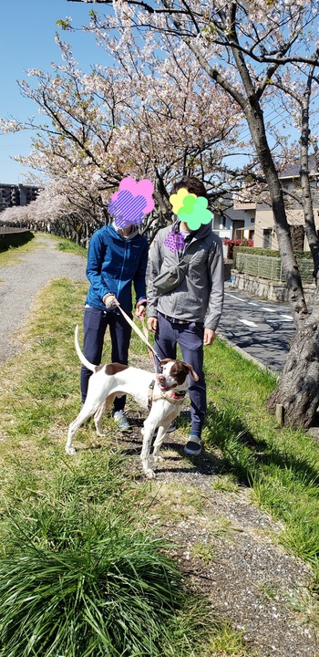 20190413_183558