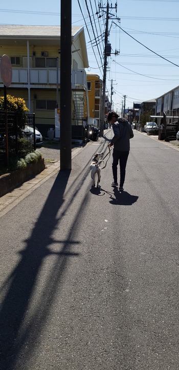 20190413_092421