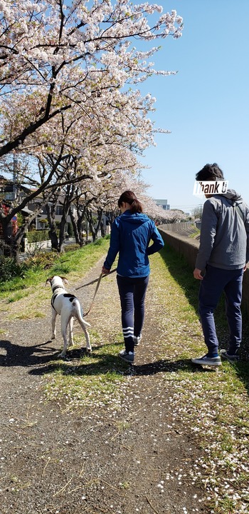 20190413_183659