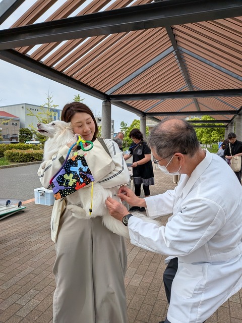 PXL_20260428_054040326