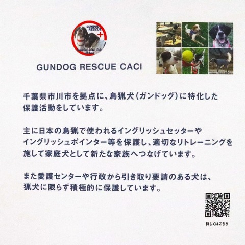 received_26454774520843844