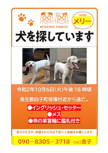 捜索ポスターNO1.2-1 2 のコピー
