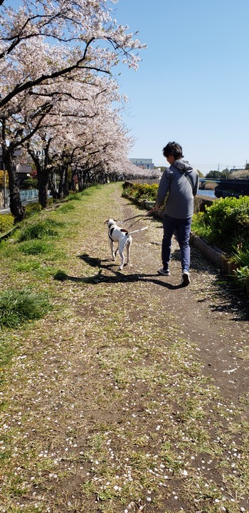 20190413_092720