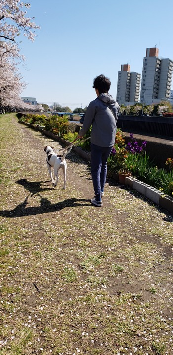 20190413_092719