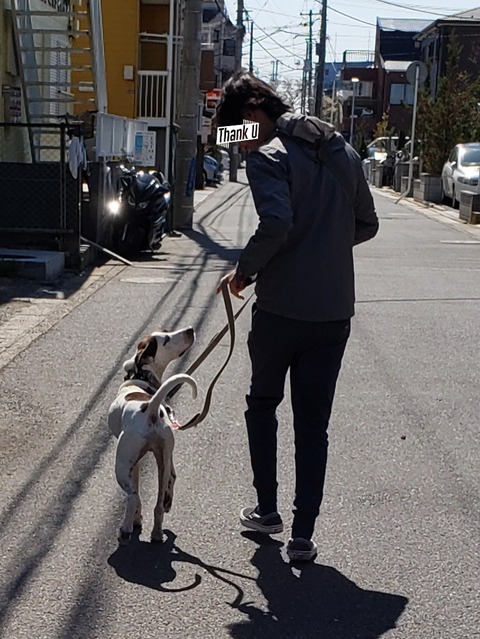 20190413_183913