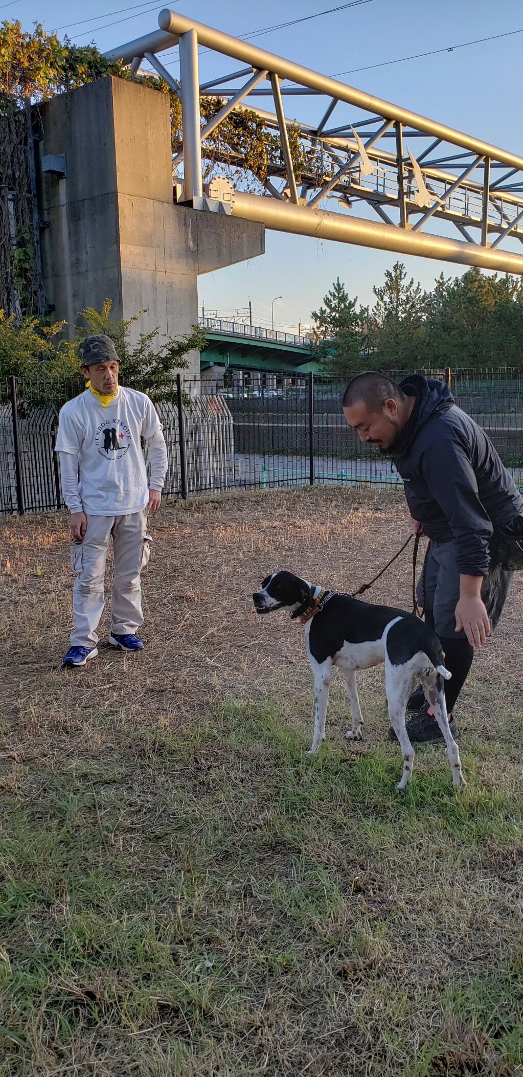 ジョニー ハンターになる Gundog Rescue Caci 活動ブログ ジョニー ハンターになる Gundog Rescue Caci 活動ブログ