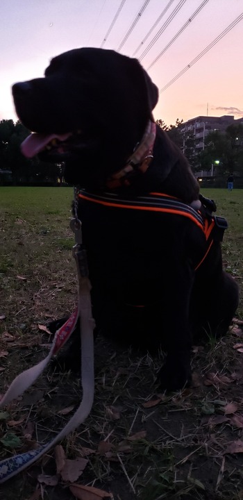 20191031_170254