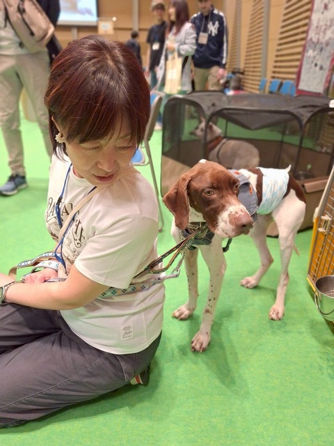 line_336967167370100