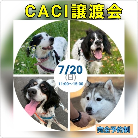 PhotoGrid_Site_1750700800172