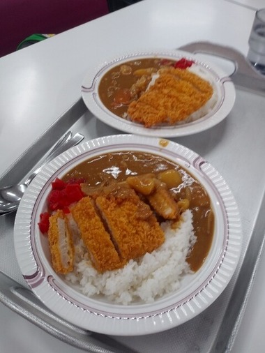 かたしな高原スキー場 カツカレー