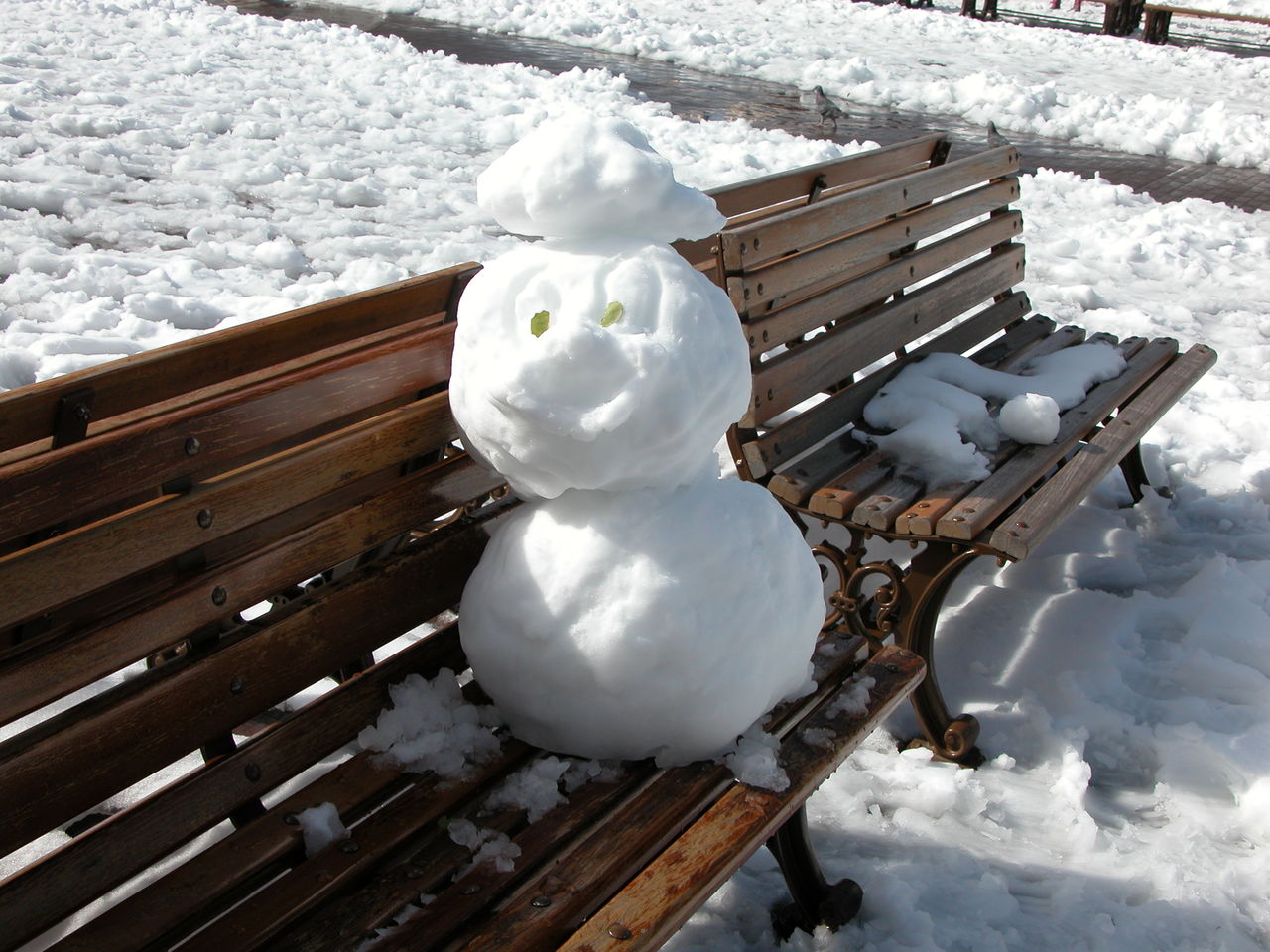 ディズニーシー雪まつりの模様 ガンチのディズニーシー男１人日記