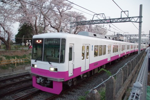 20190313matsudokanou_01