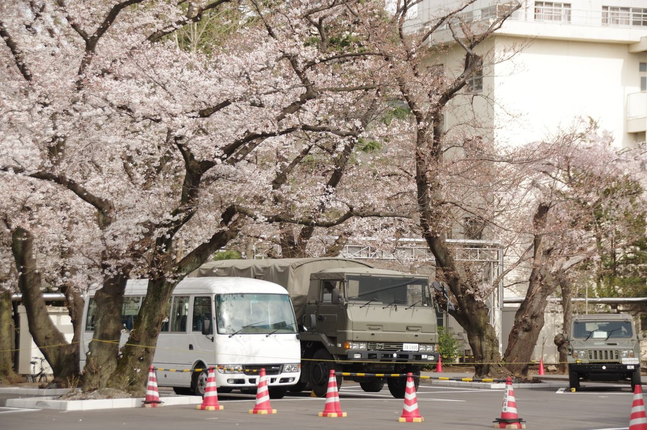 陸上自衛隊の18年観桜イベントと三宿駐屯地桜通り抜け 陸自調査団派遣隊ブログ 陸上自衛隊の18年観桜イベントと三宿駐屯地桜通り抜け 陸自調査団派遣隊ブログ