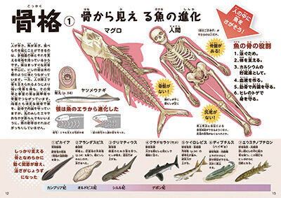 食育絵本第2作目 魚の教え がついに校了 7月1日発売 喜怒哀楽donburi 食育絵本第2作目 魚の教え がついに校了 7月1日発売 喜怒哀楽donburi