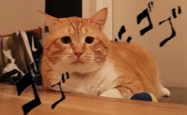 {8815D4DE-633A-4858-9C8E-A927EC69FE9D}