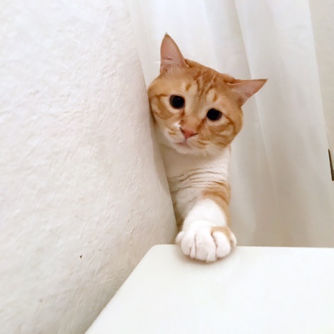 {3E38D27D-AF9B-4D60-A922-F128A4880144}