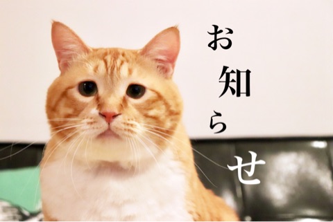 {1F264CBC-2EED-4F9D-823D-69C91FC72EEC}