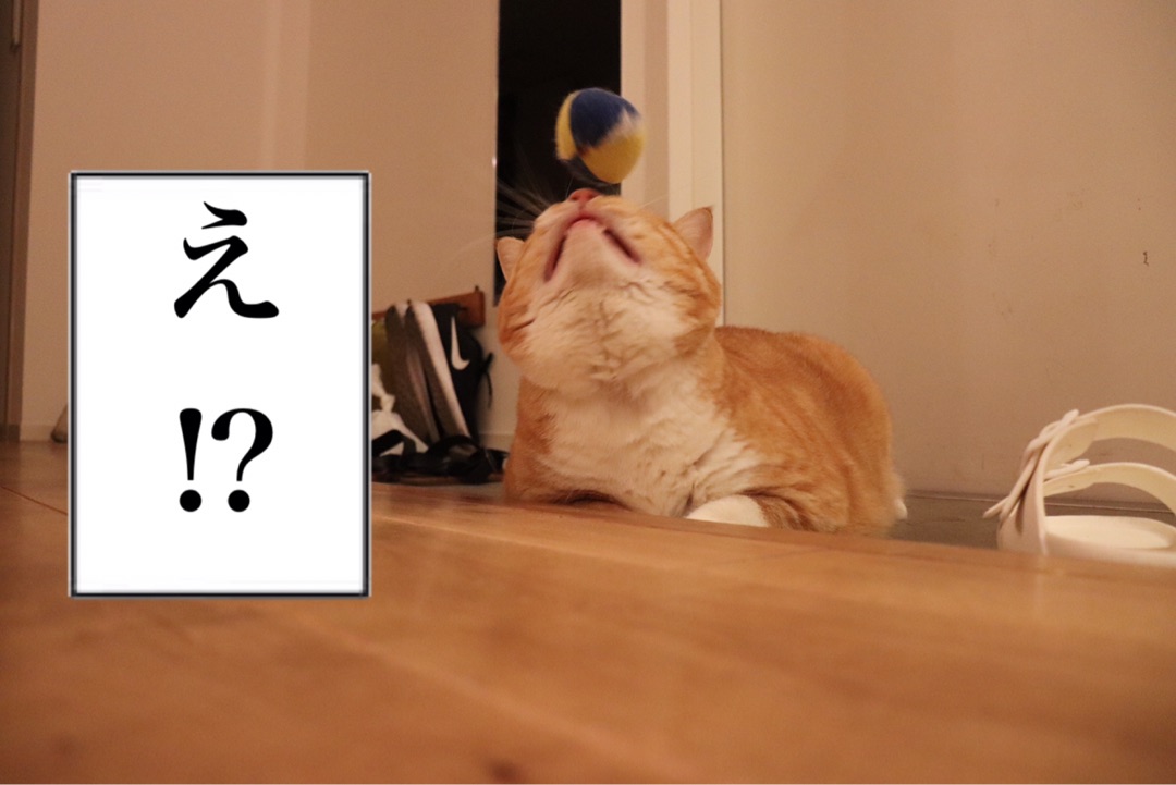 {F67F8FBE-CF6D-40C4-BD97-33A07A635375}