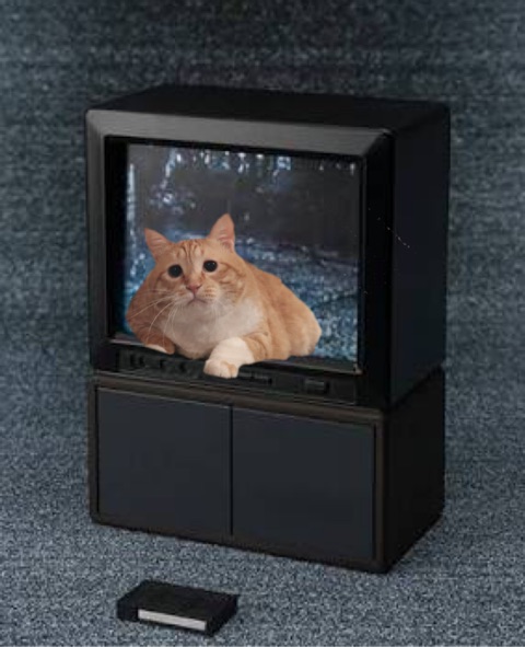 {5EAB379A-396D-4C49-84C1-5C138AD21EC8}