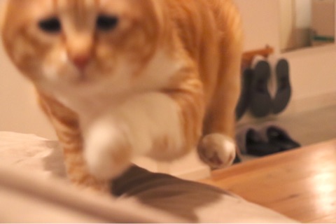 {70637A04-1F8D-4CA1-AEA4-0650BC326B35}